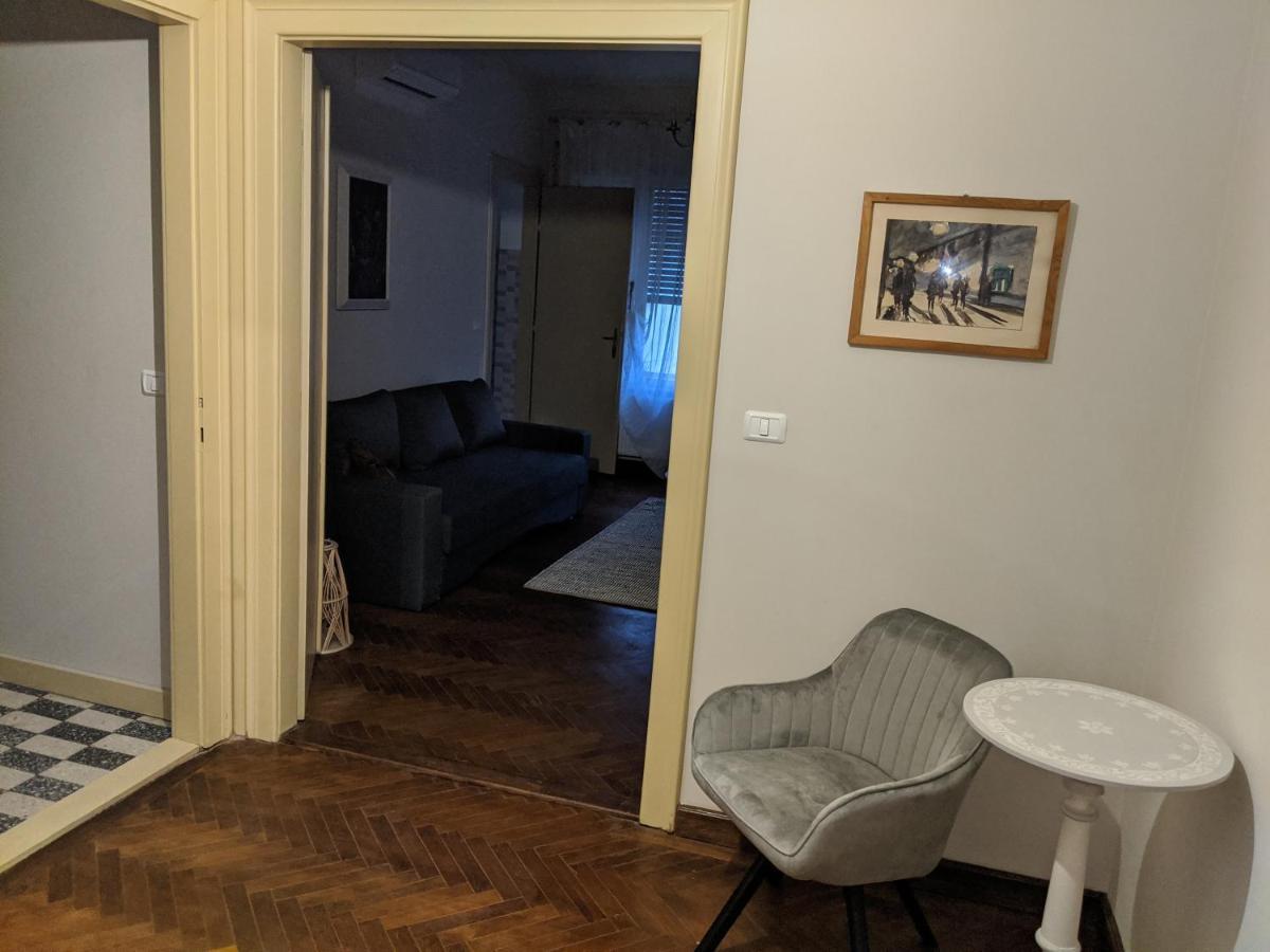 Cristian Apartment Near Old Town Timișoara Zewnętrze zdjęcie