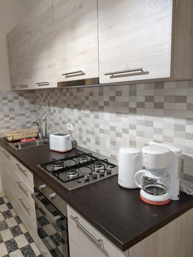 Cristian Apartment Near Old Town Timișoara Zewnętrze zdjęcie