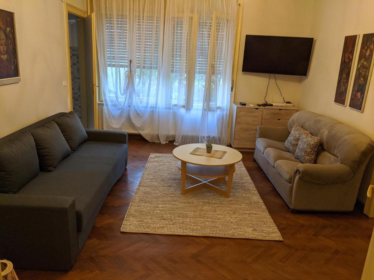 Cristian Apartment Near Old Town Timișoara Zewnętrze zdjęcie