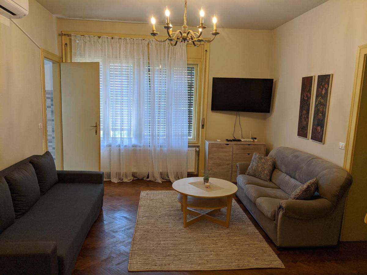 Cristian Apartment Near Old Town Timișoara Zewnętrze zdjęcie